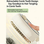 Steam Brush | Rechargeable Detangling Tool with Oil